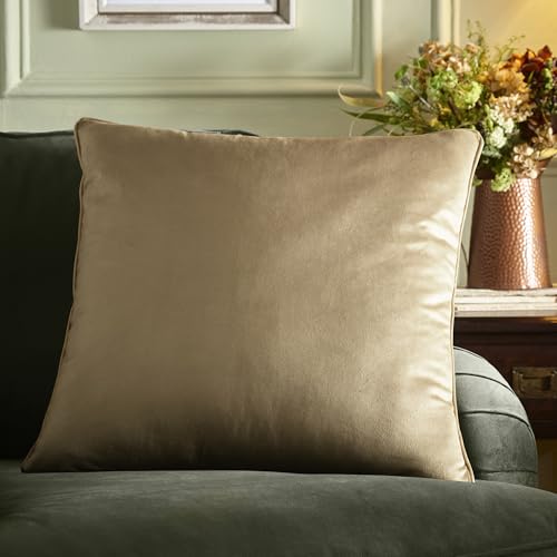 Appletree Heritage Harlan Velvet Cushion 55 x 55cm Taupe – Soft Velvet Decorative Cushion with Piped Edge, Includes Cushion Pad
