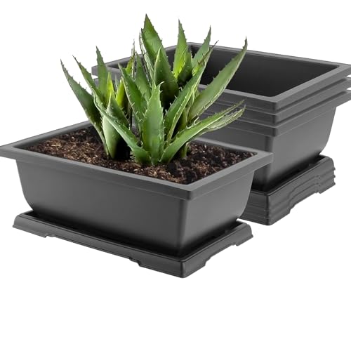 JOIKIT 4 Packs 11 Inch Large Plastic Bonsai Pots with Drainage Tray, Rectangular Bonsai Training Planter Pots, Plant Growing Bonsai Tree Pots for Garden, Decoration, Balcony