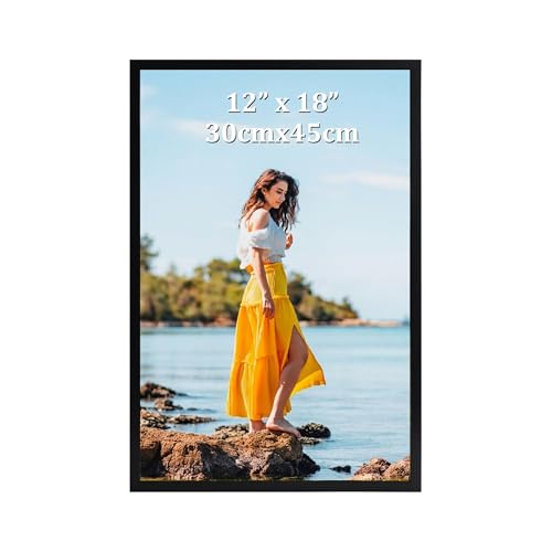 Ditwis 30x45 cm Picture Frame Black, Large Poster Frame for Horizontal or Vertical Wall Display in Living Room, Office, Gallery