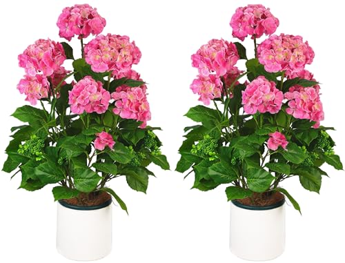 QIANYUN Artificial Hydrangea Topiary - 3FT Silk Flowers Pre-Assembled Bouquet Potted Bushes, UV Resistant Plants for Indoor and Outdoor Home Garden (Hydrangea-Pink)