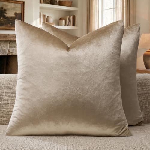 GIGIZAZA Decorative Throw Pillow Covers Velvet Sofa Cushion Covers Boho Cushion Covers 20x20 Inch Taupe Pack of 2