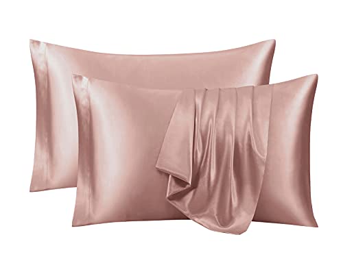 Ersmak Satin Pillowcase Standard Set of 2, Ultra Soft & Silky Satin Pillow Cases for Hair and Skin, Wrinkle Fade Resistant Pillow Covers with Envelope Closure (Champagne)