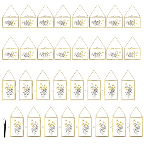32 Pcs Double Glass Frame for Pressed Flowers,Floating Hanging Photo Christmas Ornaments Frame Brass Frames with Chain for Wall Display Gallery Artwork,Clear Vertical Horizontal Display for Botanical