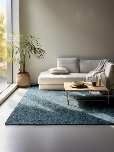 freundin Home Collection Shaggy Rug - Fluffy High Pile Living Room Rug - Plain Soft Easy Care Long Pile for Living Room, Dining Room, Bedroom, Children's Room - Petrol, 80 x 240 cm