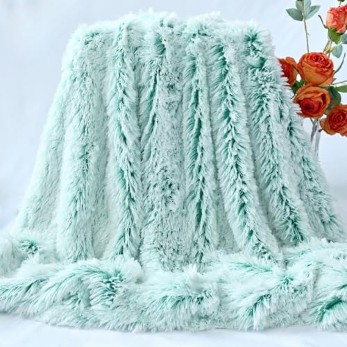 "MYRU Plush Super Soft Blanket Bedding Sofa Cover Furry Fuzzy Fur Warm Throw Qulit Cozy Couch Blanket for Winter (51""x63"",Green and White)"