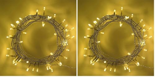 SHATCHI 40 Warm White LED Lights Clear Cable Battery Operated Fairy String Christmas Tree Wedding Party Birthday Garden Party Window Decorations (Pack of 2)
