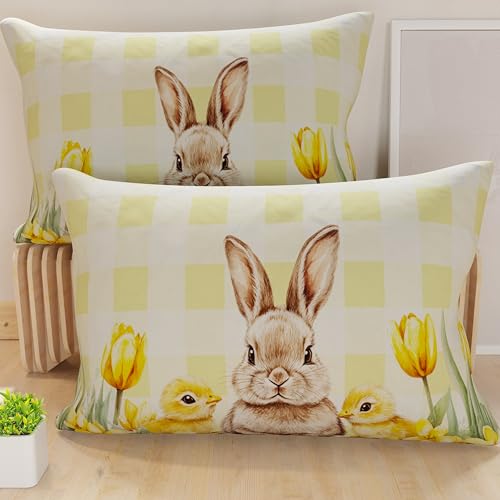 PETTI Artigiani Italiani - Set of 2 Easter Cushion Covers 50x70 cm in Microfibre, Easter Decorative Cushions for Bedroom, Sofa and Living Room, 2 Decorative Pillow Covers, 100% Made in Italy