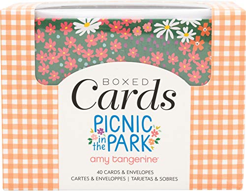 AMERICAN CRAFTS CARDS/ENVS A2 40/BOX PRK, Amy Tan Picnic in The Park, One Size