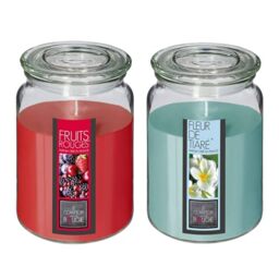 Well Home Set of 2 Scented Candles (Tiare Flower + Red Fruits) 510 g in Glass Container Ø10 x H.14.5 cm