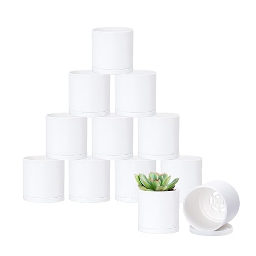 D'vine Dev 12-Pack Mini White Plastic Planters with Saucers, 3 in, 74-Z-C-4 - Lightweight Durable Build, Matte Finish, Cylindrical Shape, Efficient Drainage, Detachable Saucer, Minimalist Modern Style