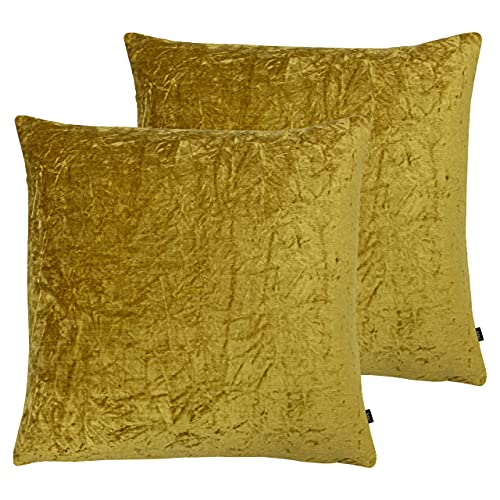 Ashley Wilde Kassaro Twin Pack Feather Filled Cushions, Dijon, 50 x 50cm