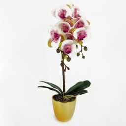 Leaf Design UK Realistic Artificial Orchid Flower Display in Pot