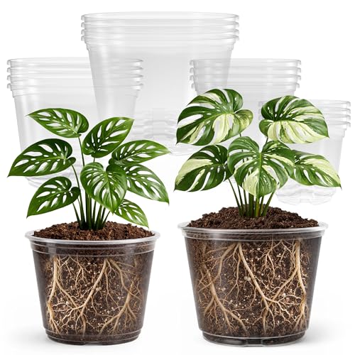 Bluepro 16 Pack 10/8/6/5 Inch Reinforced Large Clear Nursery Pots with Drainage Holes, Transparent Variety Pack Plastic Plant Pot for Vegetable Propagation, Root Cutting, Seed Starting
