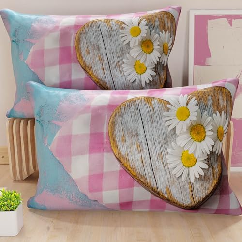PETTI Artigiani Italiani - Pair of Pillow Cases 50 x 70 cm in Microfibre, Pillows for Bedroom Furniture, Sofa, Living Room, Set of 2 Cushion Covers, Shabby 329 Pillowcase, 100% Made in Italy