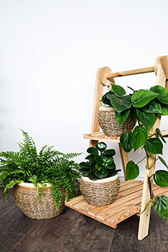 Ivyline Indoor Seagrass Plant Pot Cover Natural, Nested Pack of 2,Size: H22 x W30 x D30cm, H17 x W23 x D23cm