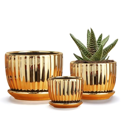 Ton Sin Gold Plant Pots,4.1+5.1+6.5 Inch Ceramic Succulent Planters Set of 3 Mini Indoor Flower Pot with Drainage,Handmade Decorative Ceramic Orchid and Herb Pots(Gold)