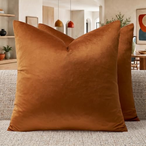 GIGIZAZA Burnt Orange Velvet Throw Pillow Covers 20x20 Pack of 2 - Decorative Pillows for Couch Sofa,280gsm Soft Textured Fabric,Modern Square Pillowcases,Luxury Cushion Covers