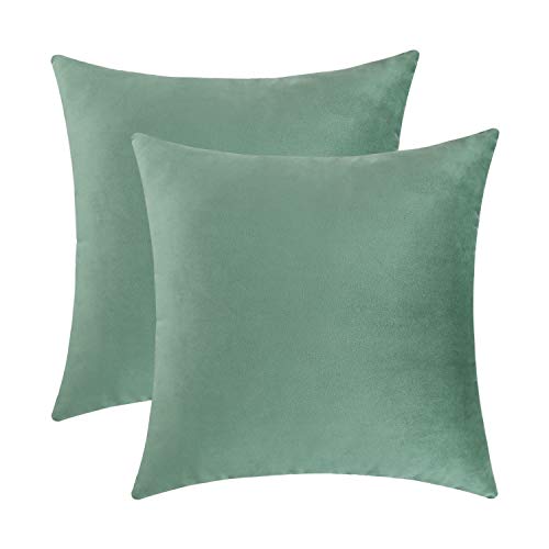 Jeneoo Set of 2 Comfy Soft Velvet Throw Pillow Covers for Sofa Couch Decorative Solid Square Cushion Cases for Bedroom Car (18 x 18 Inches, Sage Green)