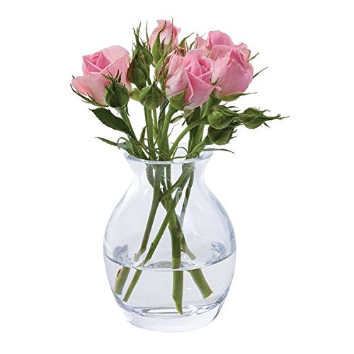 Dartington Crystal Flower Garden Bloom Vase - Clear Flower Vase - Everyday use