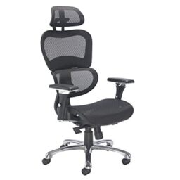 Office Hippo Ergonomic Chair Office, Office Chair with Back Support, Office Chair with Arms, Mesh, Swivel, Black