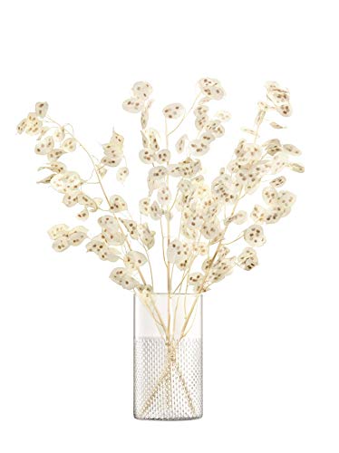 LSA International Wicker Vase/Lantern H25cm Clear- 1 Unit - Mouthblown & Handmade Glass - WR11