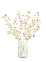 LSA International Wicker Vase/Lantern H25cm Clear- 1 Unit - Mouthblown & Handmade Glass - WR11