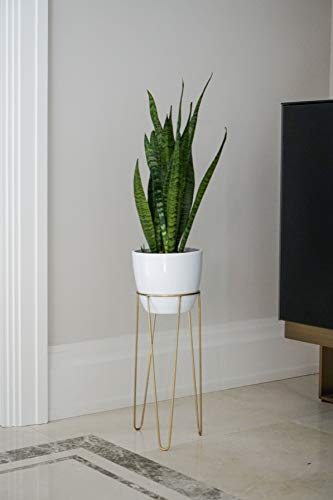 Ivyline Plant Stand, Iron, Gold, One Size