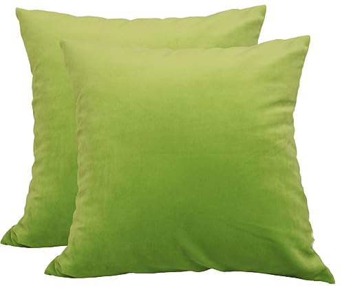 TangDepot 2-Pack Super Soft Velvet Pillow Covers, 16x16 Green - Luxury velvet pillow cover, hidden zip, washable, fits any insert, indoor/outdoor, many colors, instant refresh.