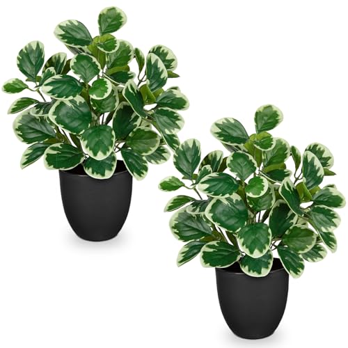 "Sets of 2 Artificial Plants Indoor Home Decor, 14.5"" Fake Potted Silk Plants for Shelves Living Room Decor, Small Artificial Office Desk Plant in Pots, Faux Peperomia Hope Tropical House Plant"