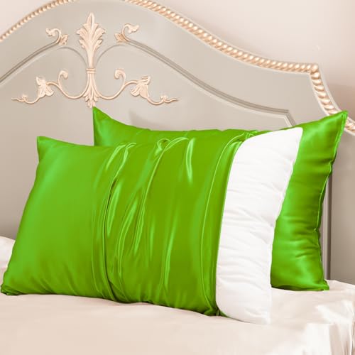 PROMEED 23 Momme 100% Mulberry Silk Pillowcase 2 Pack, Toddler - Both Sides Real Silk, Grade 6A+ Travel-Size Silk Cover Elevates Guest Room and Vacation Sleep Quality