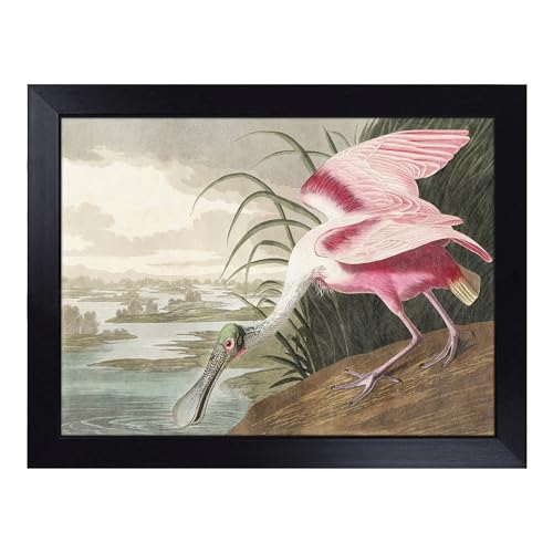 Lap Tray with Bean Bag Cushion, Roseate Spoonbill By Audubon - Handmade in the UK, Raised Wooden Edge, Padded Cushion, Heat-Resistant Wipe-Clean Surface, for Meals, Laptops and Crafts