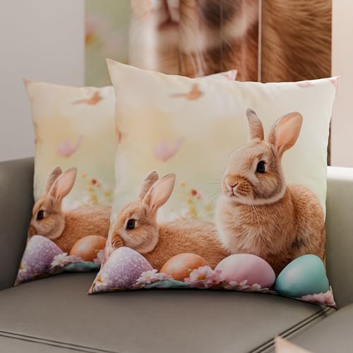 PETTI Artigiani Italiani - Pair of Easter Pillow Cases 65 x 65 cm in Microfibre, Easter Cushions for Bedroom, Sofa, Living Room, Set of 2 Cushion Covers, 100% Made in Italy