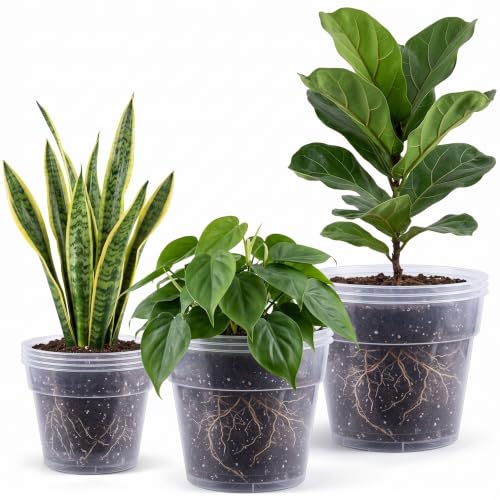 Vesici 12 Pcs 8/10/12 Inch Large Thickened Clear Nursery Pots Variety Pack Plant Pots with Drainage Holes Planters for Indoor Plants Flexible Transparent Plastic Plant Bottle Succulents