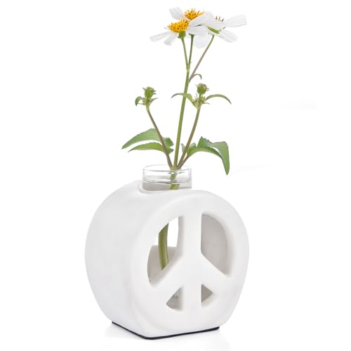 ORGJ Elegant Ceramic Vase with Glass Tube, Decorative Hydroponic Planter and Reed Diffuser Holder - Modern Minimalist Design for Home, Hotel & Apartment Decor (Peace Collection)