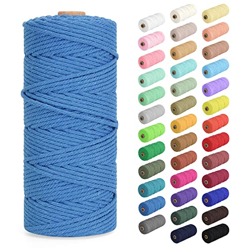 Macrame Cord 3mm x 109Yards (328Feet), Natural Cotton Macrame Rope - 4 Strands Twisted Macrame Cotton Cord for Wall Hanging, Plant Hangers, Crafts, Gift Wrapping and Wedding Decorations, Lake Blue