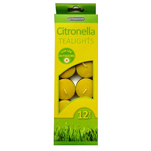 Citronella Tealight Candles - 12 Pack