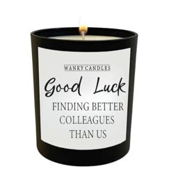 Wanky Candles Funny Leaving Candle for Colleague