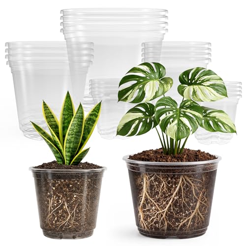 Bluepro 20 Pack 8/6/5/4/3.5 Inch Reinforced Large Clear Nursery Pots with Drainage Hole, Transparent Variety Pack Plastic Plant Pot for Vegetable Propagation, Root Cutting, Seed Starting