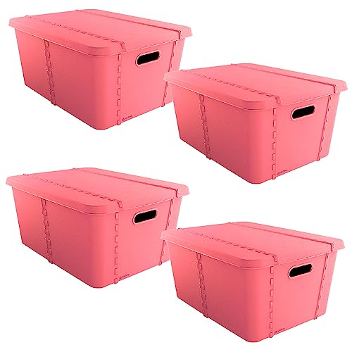 SP Berner 4x Life Story Storage Box with Lid Small, 15 L, Rose