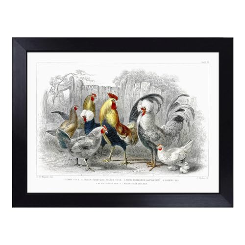 Lap Tray with Bean Bag Cushion, Cocks & Hens By Oliver Goldsmith - Handmade in the UK, Raised Wooden Edge, Padded Cushion, Heat-Resistant Wipe-Clean Surface, for Meals, Laptops and Crafts