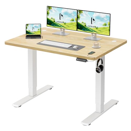 Homall Electric Height Adjustable Desk, Adjustable Height Office Desk with USB Ports, 100x60cm, Home Office with Splice Board, Beige