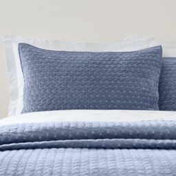 Bianca Attica Velvet Embroidered Pillow sham Pair Blue