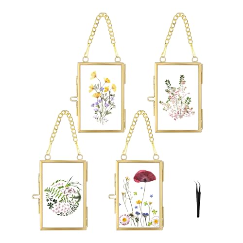 FOCHIER F 4 Pcs Pressed Flower Frames with Tweezers, Wall Hanging Tabletop Display Double Glass Frames with Metal Chain for Pressed Dried Flowers Plants, Horizontal and Vertical Picture Frame, Gold