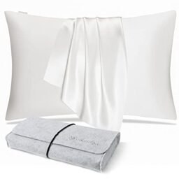 DISANGNI 100% Natural Mulberry Silk Pillow case for Hair and Skin with Hidden Zipper 22 Momme Both Sides Real Silk Pillow Case (1pc 50x75cm, White)