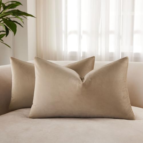 JUSPURBET Set of 2 Velvet Stone Cushion Covers for Living Room, Sofa, Bedroom, Decorative Rectangular Soft with Invisible Zip, 30 x 50 cm