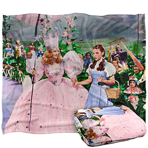THE WIZARD OF OZ Stanley Desantis Vintage Dorothy and Glinda Silky Touch Super Soft Throw Blanket 152 x 127 cm