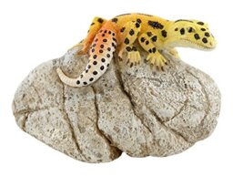 Top Collection Miniature Fairy Garden and Terrarium Leopard Gecko on Rock Statue