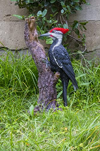 Hi-Line Gift Ltd. Garden Statues, Garden Ornament, Outdoor Statues, Resin, Multicolor