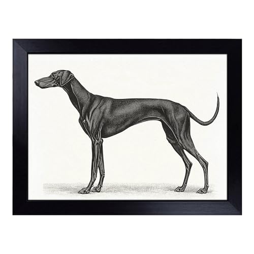 Lap Tray with Bean Bag Cushion, Greyhound - Handmade in the UK, Raised Wooden Edge, Padded Cushion, Heat-Resistant Wipe-Clean Surface, for Meals, Laptops and Crafts