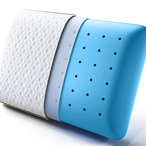 BedStory Memory Foam Pillow, Cooling Gel Pillows for Sleeping, Soft Supportive Pillow Medium Firmness for Side Stomach Back Sleepers, Ventilated Design Removable & Washable Cover (40X60X14CM)